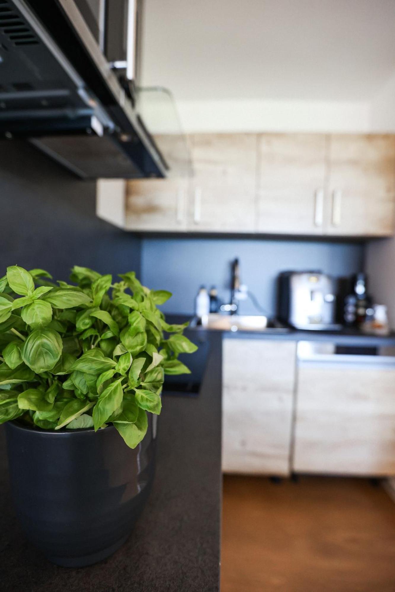 Neu Superior 312, Oberharz, Schwimmbad Und Sauna Apartment Braunlage