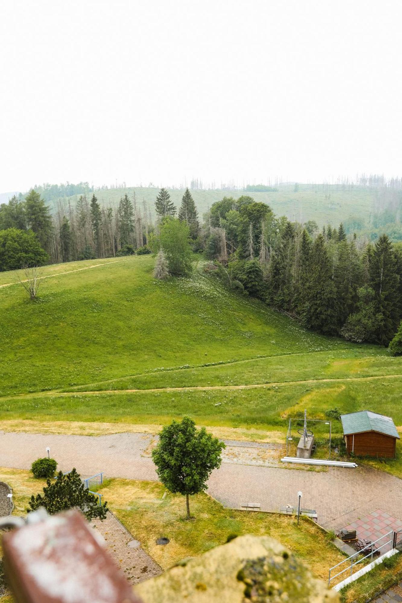 Neu Superior 312, Oberharz, Schwimmbad Und Sauna Apartment *