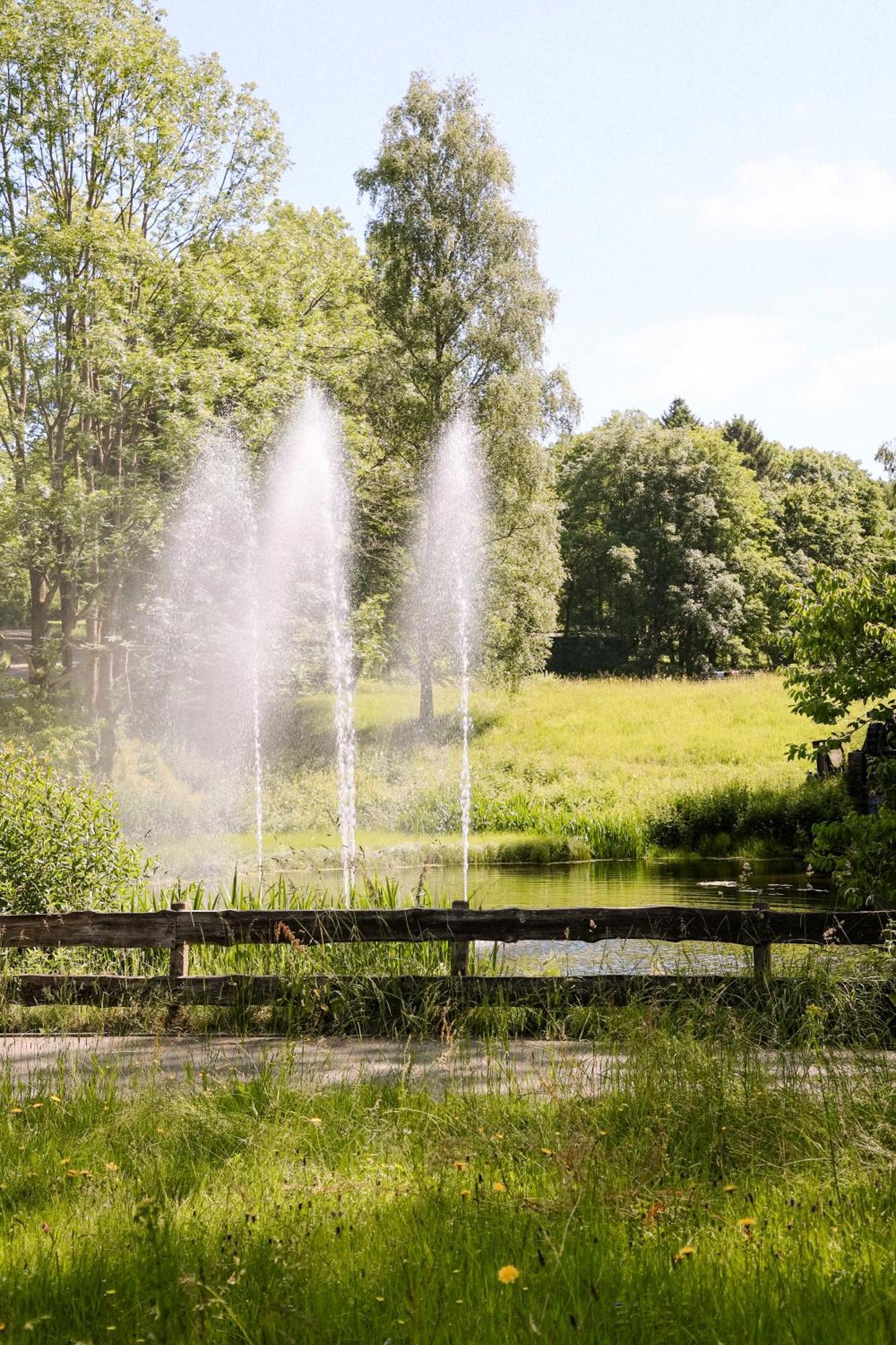 Neu Superior 312, Oberharz, Schwimmbad Und Sauna Apartment *